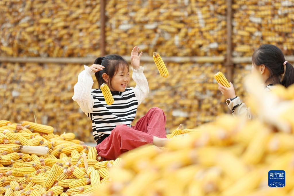 太阳城游戏登入